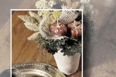 dried_flowers_3