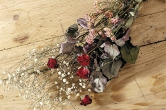 roses